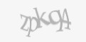 Защитный код
